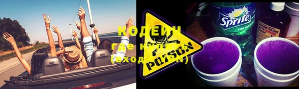 молекула духа Инсар