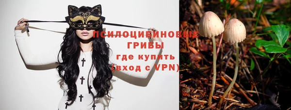 мяу мяу кристалл Иннополис