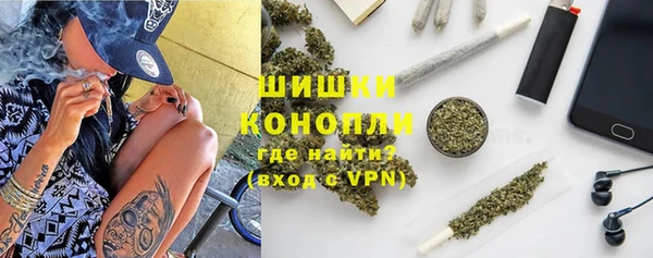молекула духа Инсар
