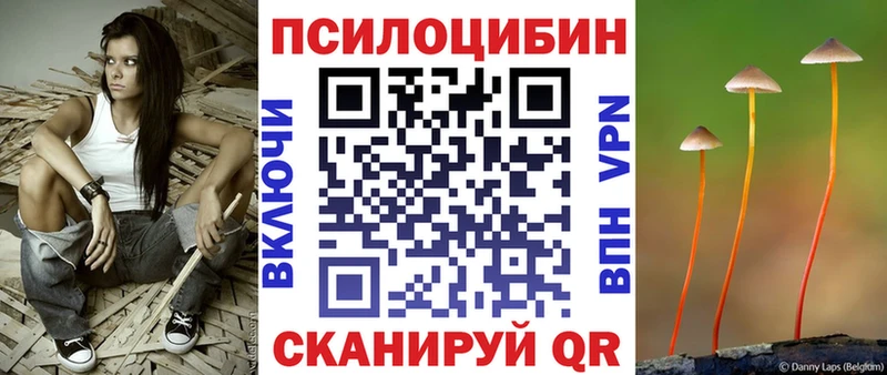 Купить где  Долинск  Галлюциногенные грибы Magic Shrooms 