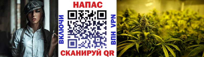 Каннабис SATIVA & INDICA Долинск